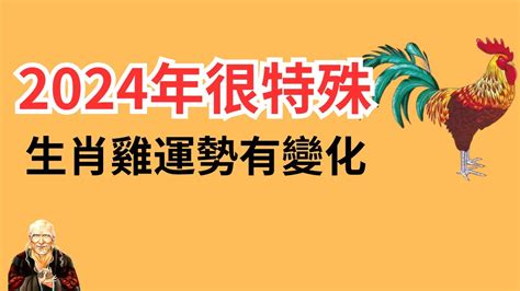 1981屬雞2024運勢|属鸡1981年出生的人2024年全年运程运势